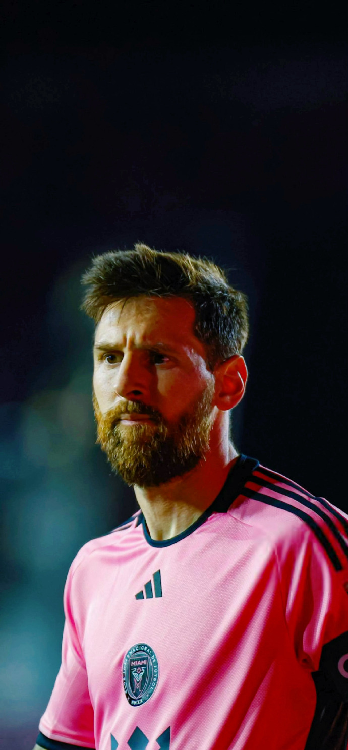 在加戈战略 在加戈战略