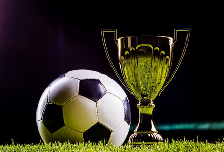 美洲足坛的 美洲足坛的