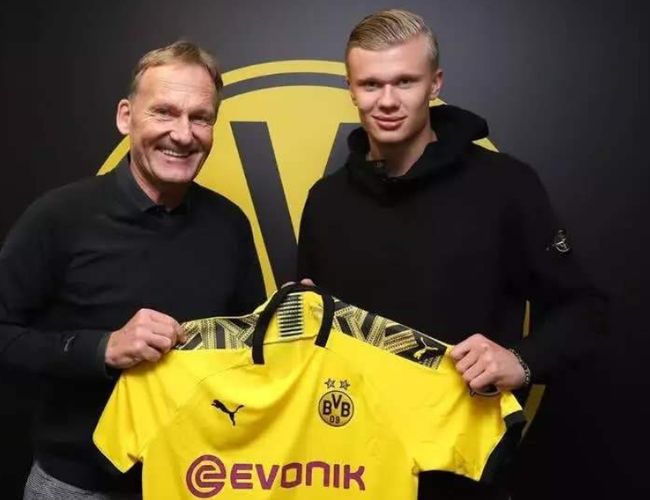 逆风让高飞 逆风让高飞